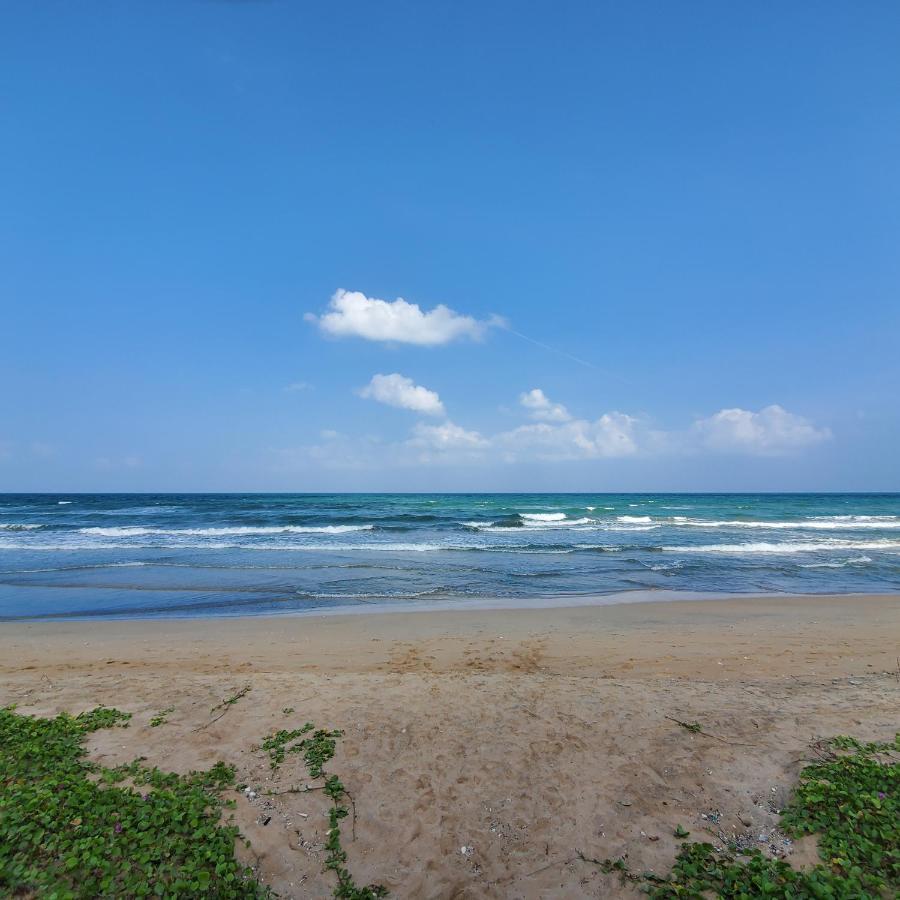 Beach Front Paradise Nilaveli Kültér fotó